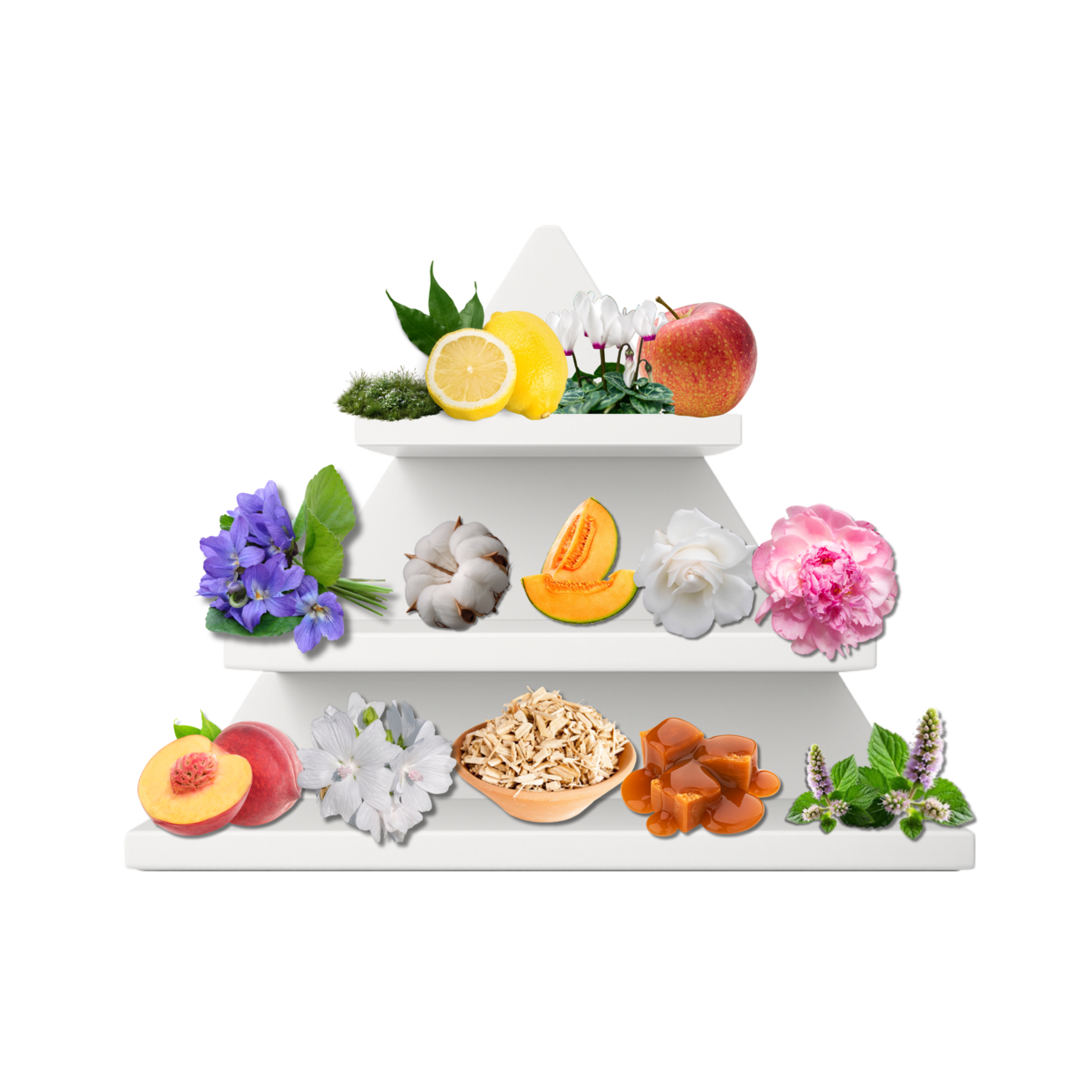 Oslo Fresh Duftpyramide